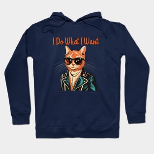 I do What I do Want Hoodie